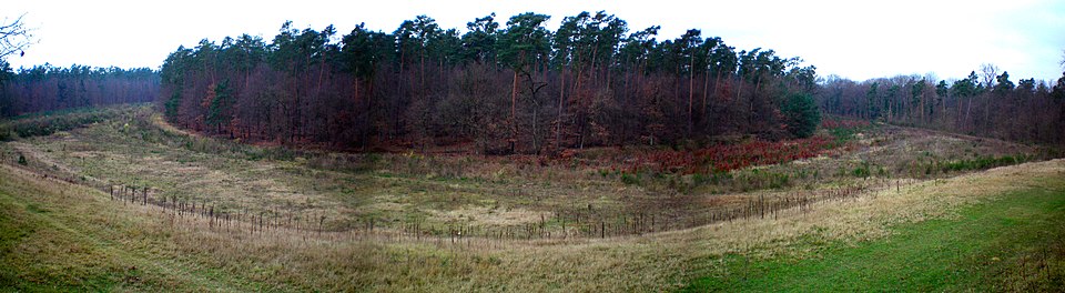 Hockenheim Ring old track part