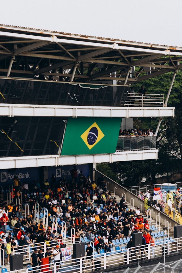Crowds gather at a Brazilian Formula 1 event under the national flag, capturing sports excitement.