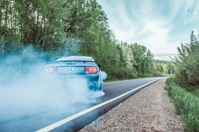 A Ford Mustang burns rubber on a scenic road, showcasing speed and power.