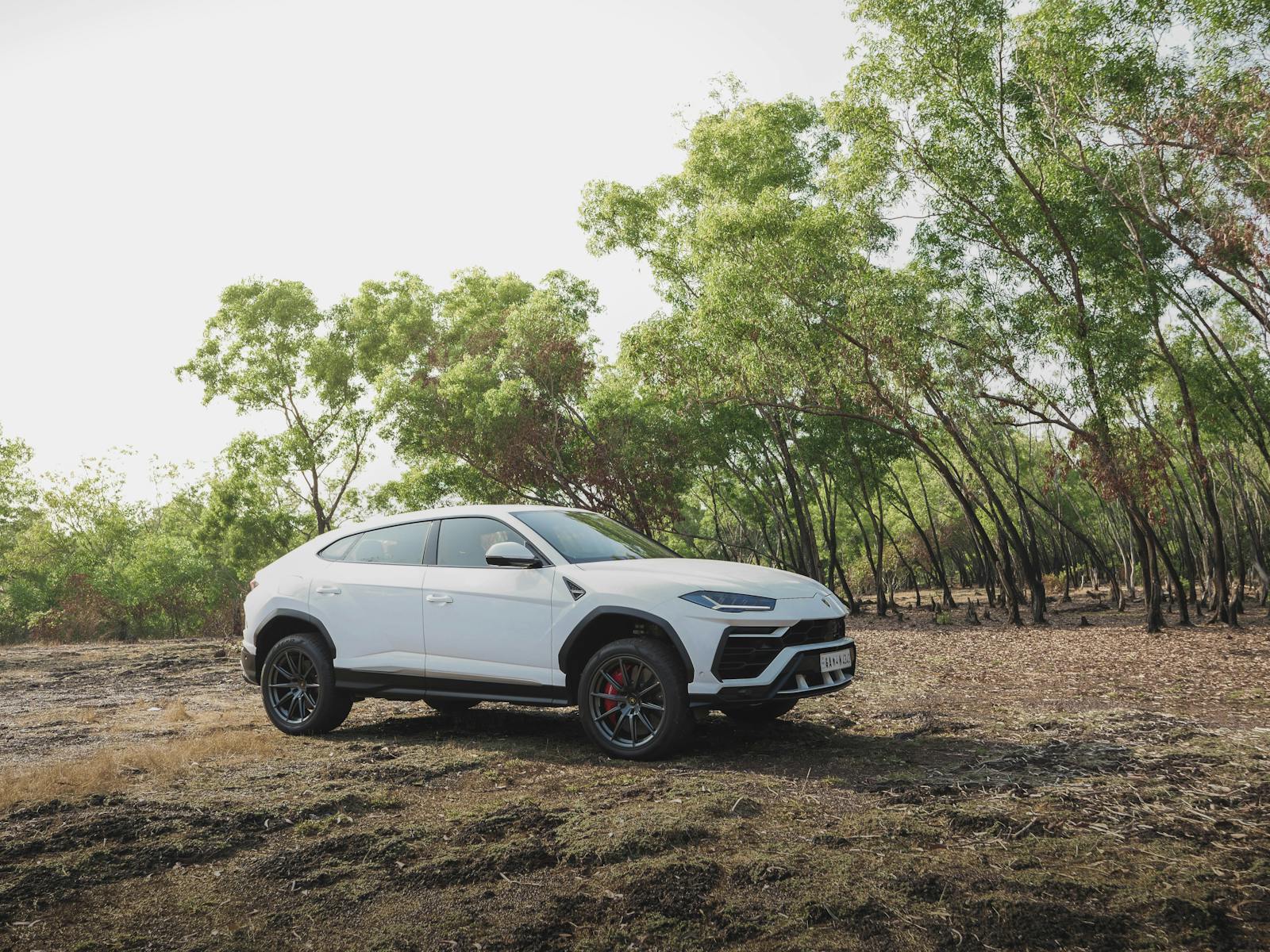 A white SUV parked in a serene forest landscape, showcasing its design under natural sunlight.