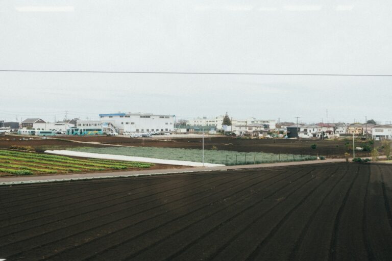 A farm field with a city in the background