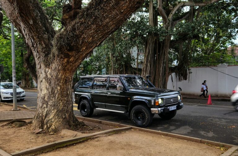 A truck parked on the side of a road next to a tree