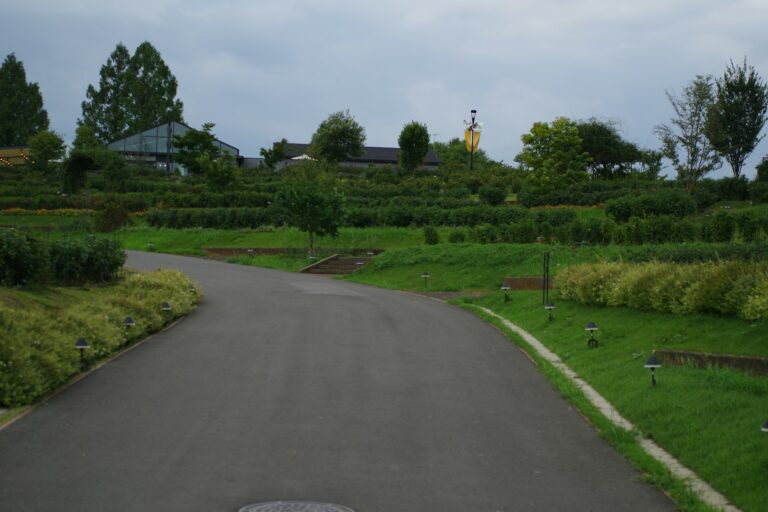 A car driving down a road next to a lush green field
