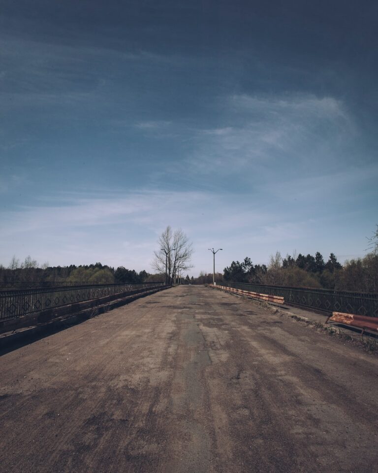 a dirt road with benches on the side of it